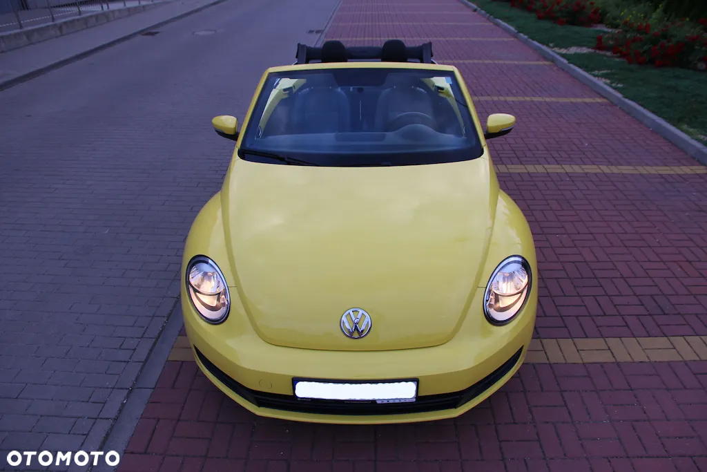 Volkswagen Beetle - 15