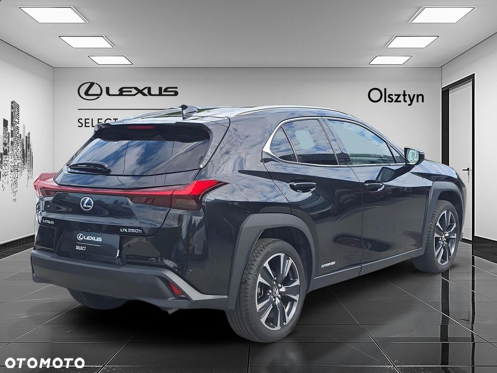 Lexus UX 250h GPF Business Edition 2WD - 5