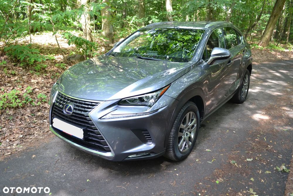 Lexus NX 300h - 7