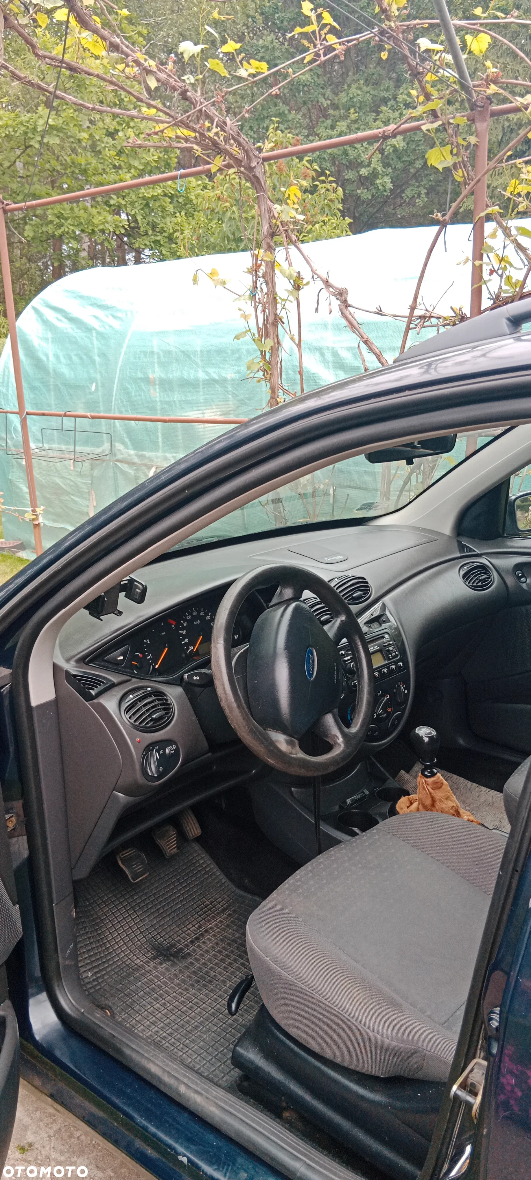 Ford Focus - 7