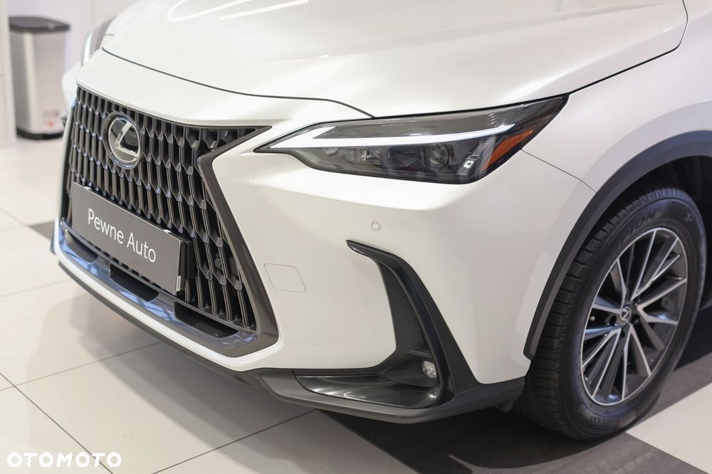 Lexus NX - 29