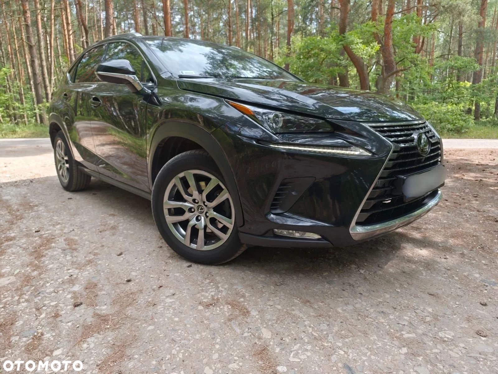 Lexus NX 300 Comfort AWD - 5