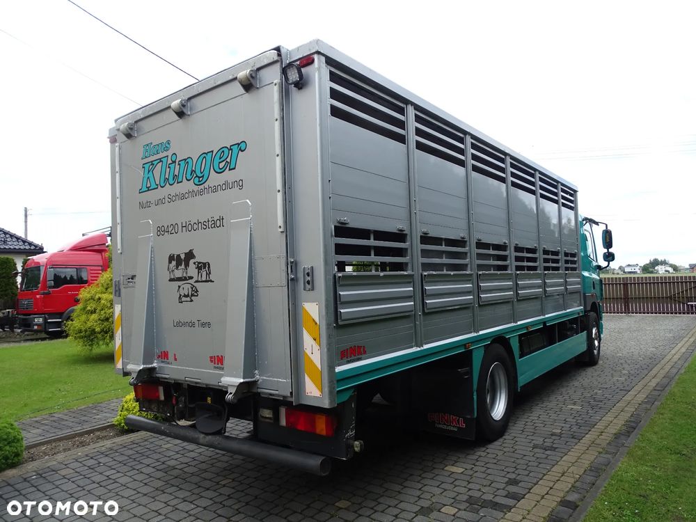 DAF CF 410 / DO ZWIERZĄT / ŻYWCA / BYDŁA / Z NIEMIEC / - 4