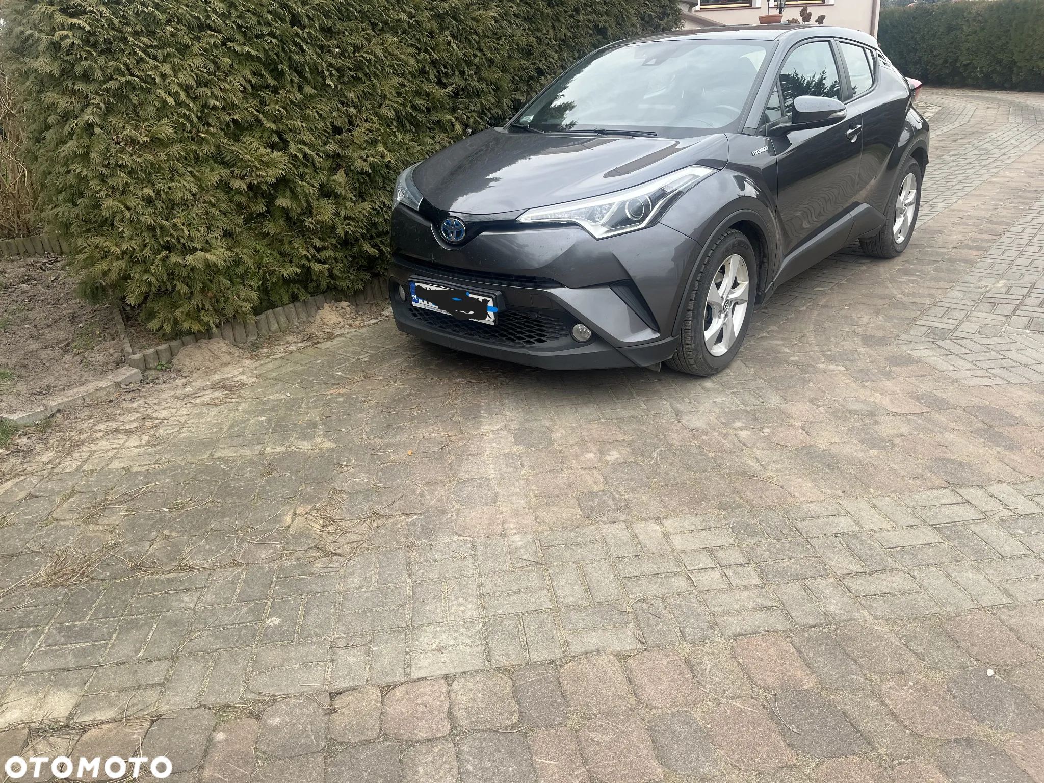 Toyota C-HR 1.8 Hybrid Dynamic - 2