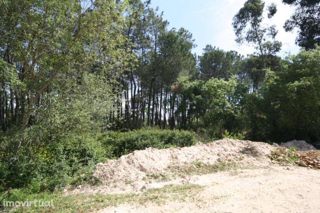 Terreno, Condeixa-a-Nova, Condeixa - Grande imagem: 5/7