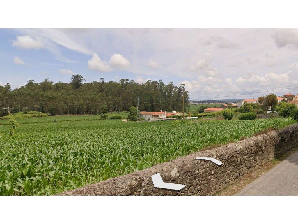 Terreno p/ moradias - Grande imagem: 2/3