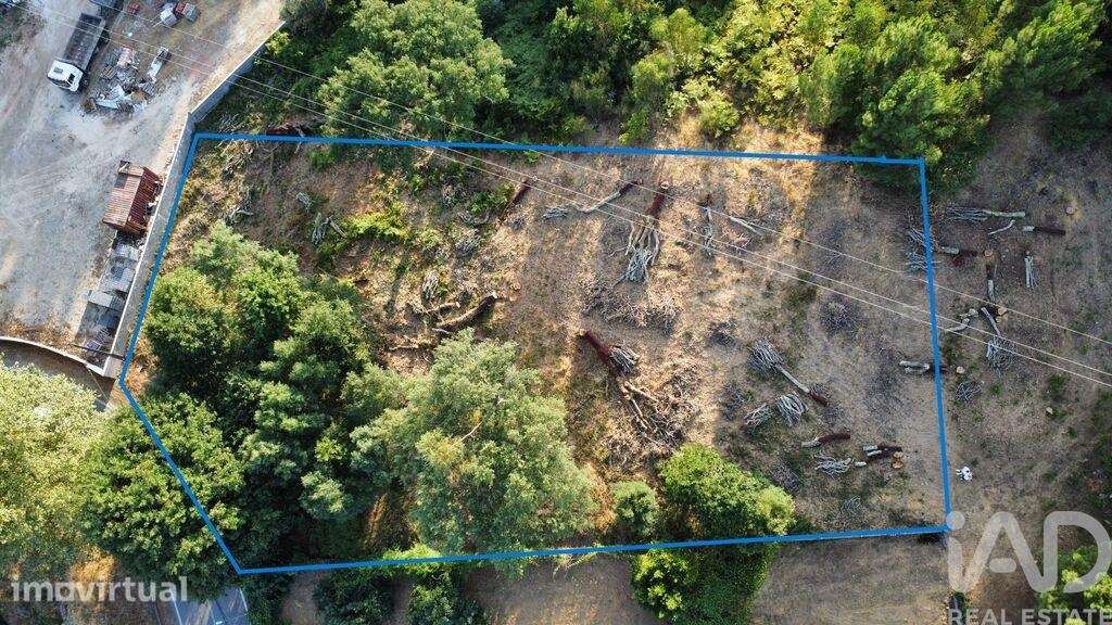 Terreno Agrícola em Castanheira de Pêra e Coentral - Grande imagem: 4/28