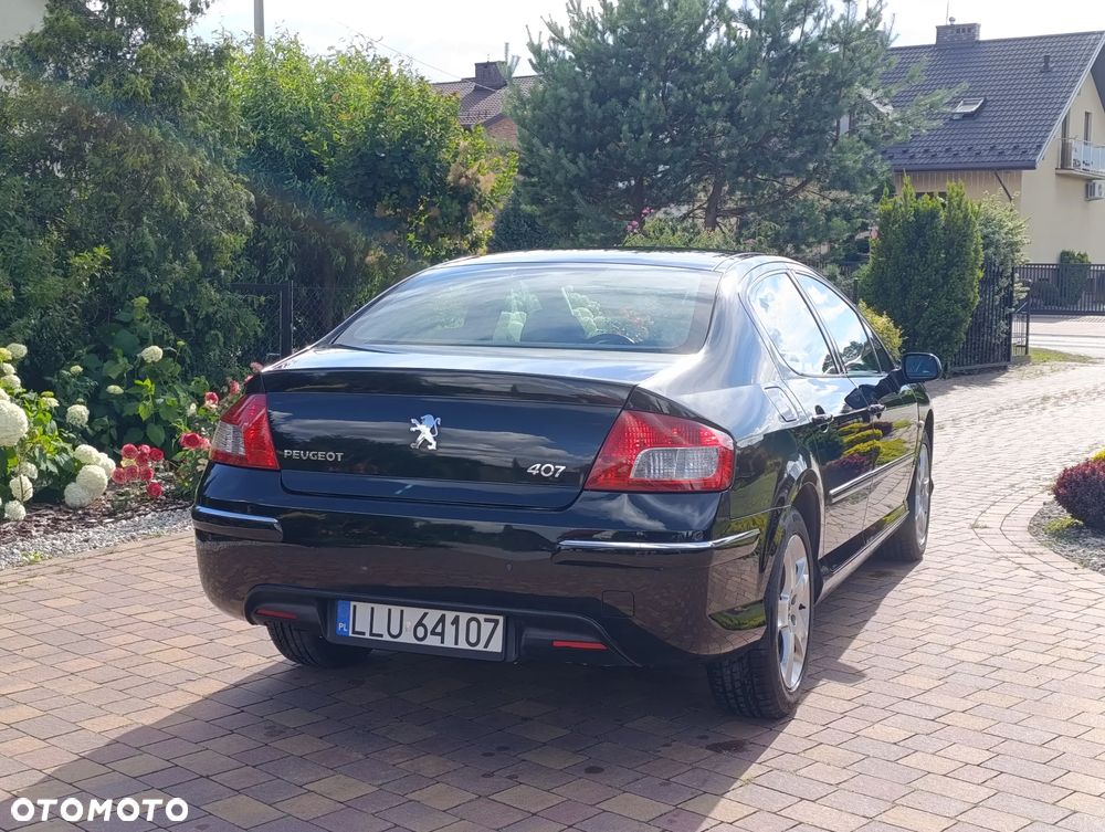 Peugeot 407 - 10