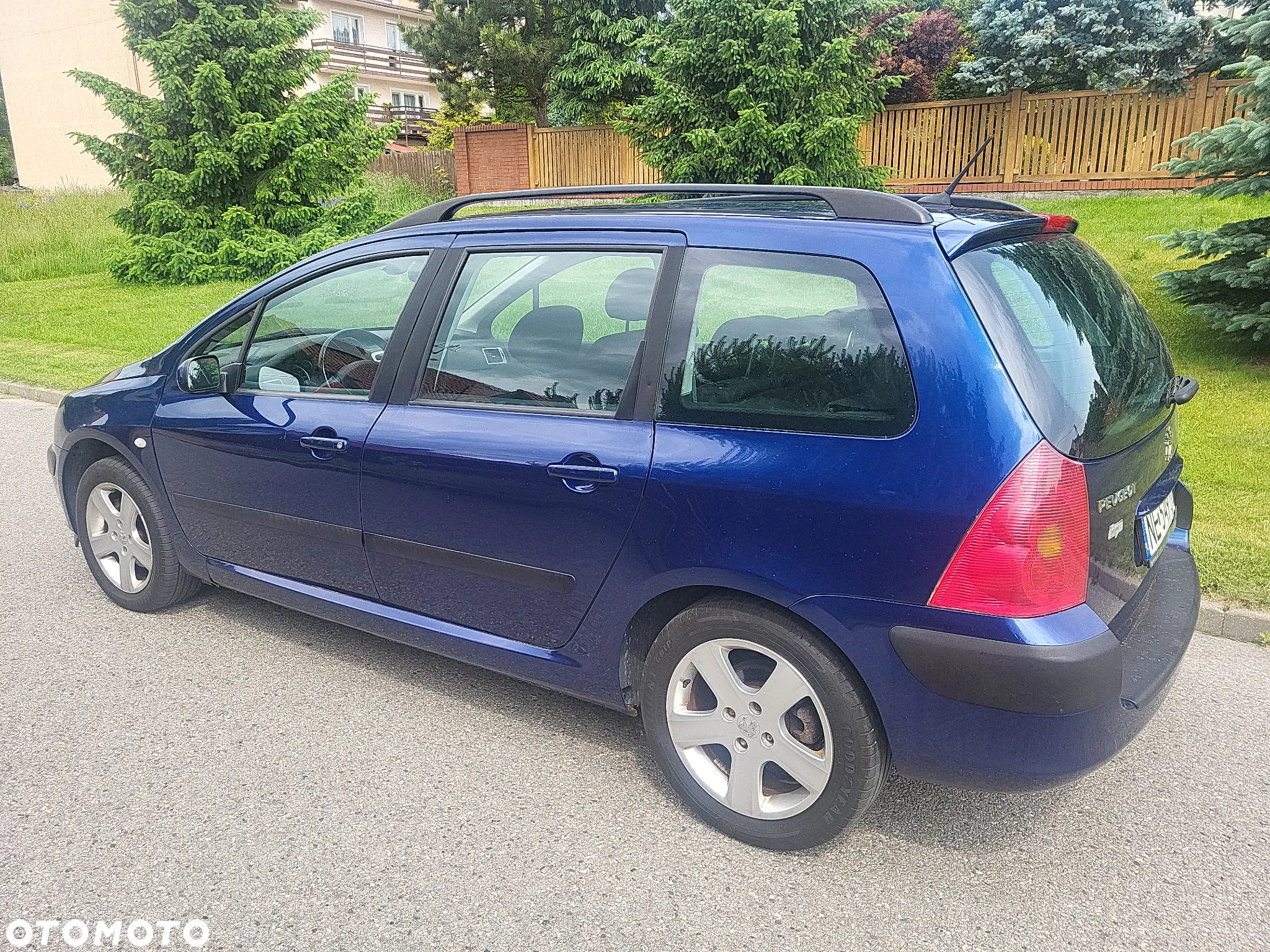 Peugeot 307 2.0 Mistral - 6