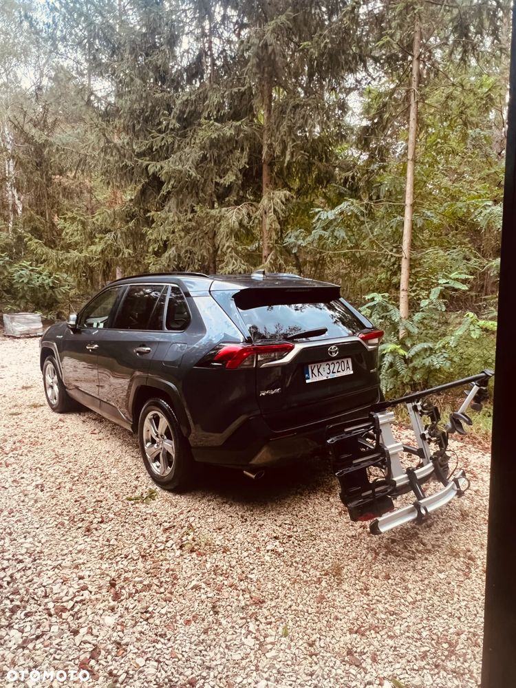 Toyota RAV4 2.5 Hybrid Executive 4x2 - 4