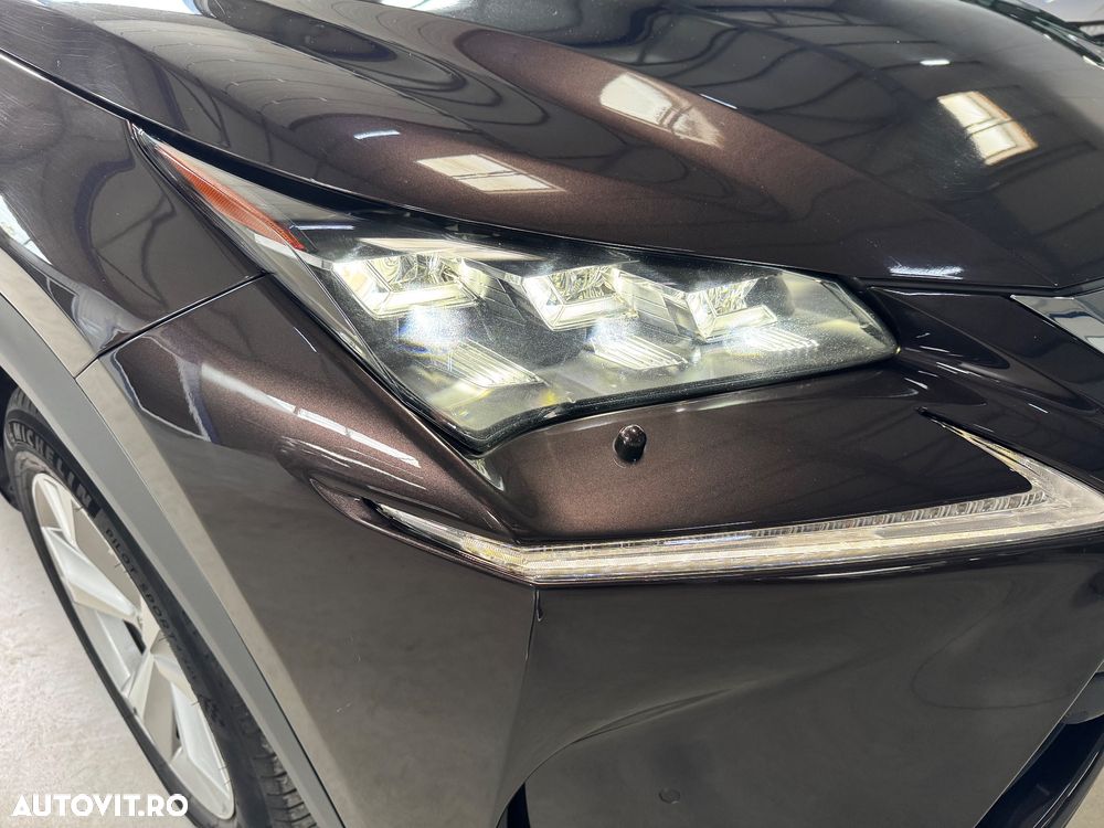 Lexus Seria NX 300h Luxury - 25