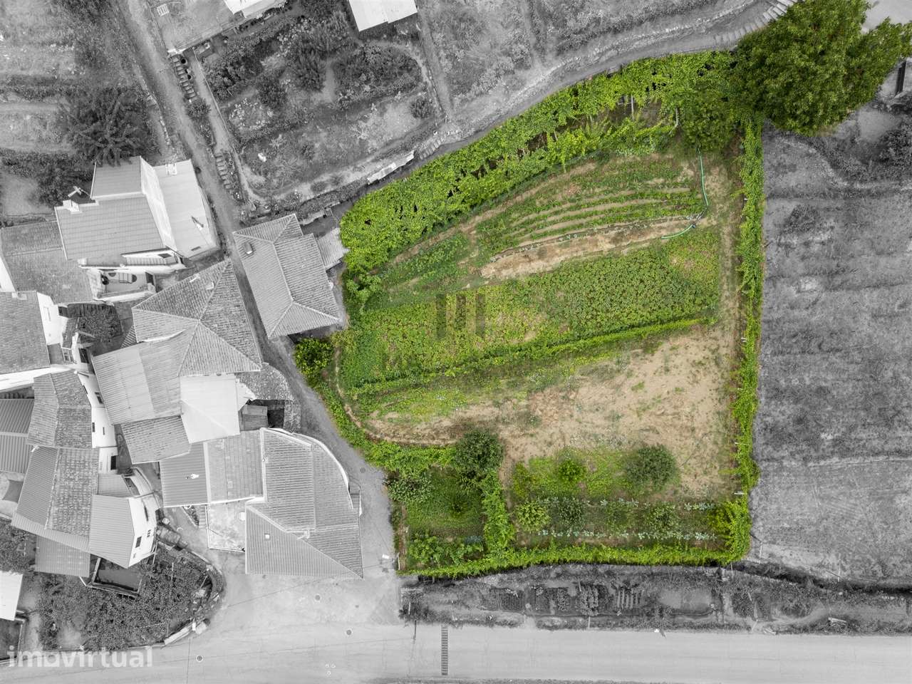 TERRENO RUSTICO | 1400m2 Planos | Salzedas - Grande imagem: 3/7