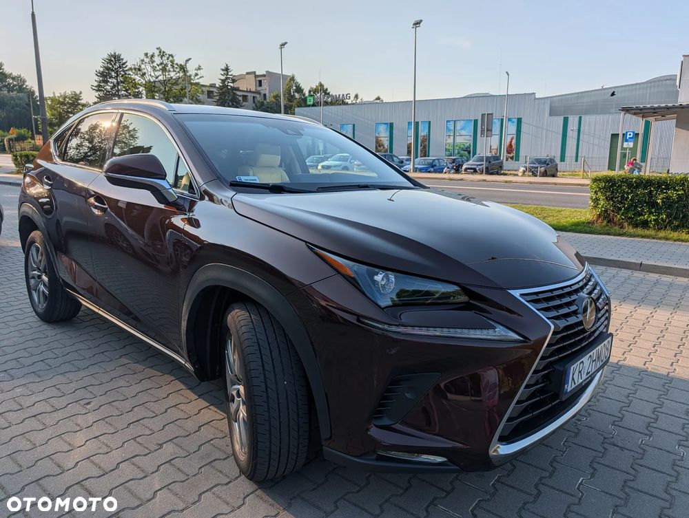 Lexus NX 300 Comfort AWD - 2