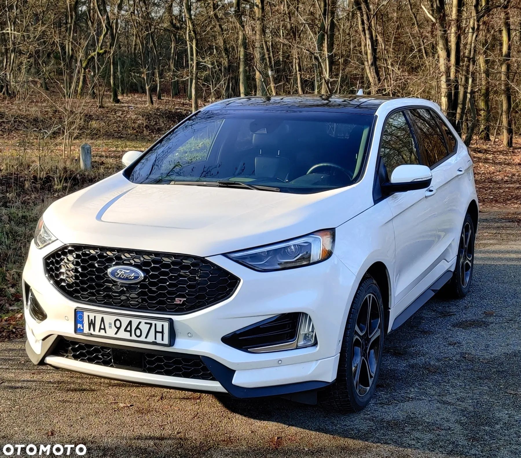 Ford Edge - 1