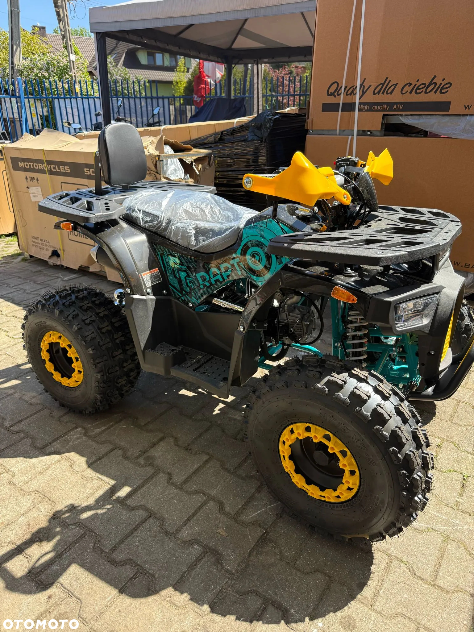 Barton Raptor - 2