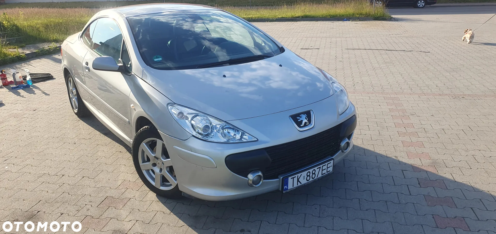 Peugeot 307 CC - 8