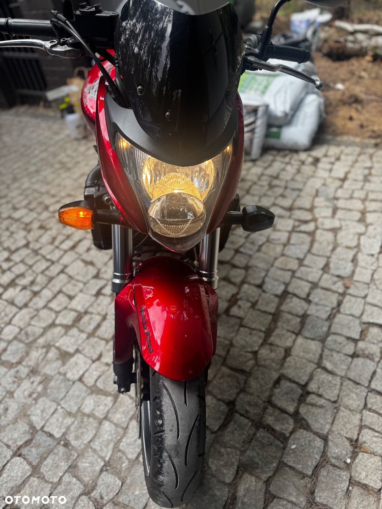 Honda Hornet - 8