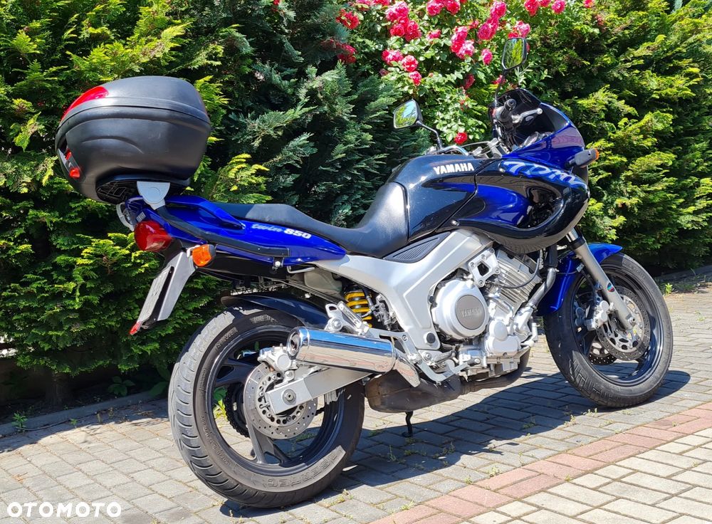 Yamaha TDM - 6