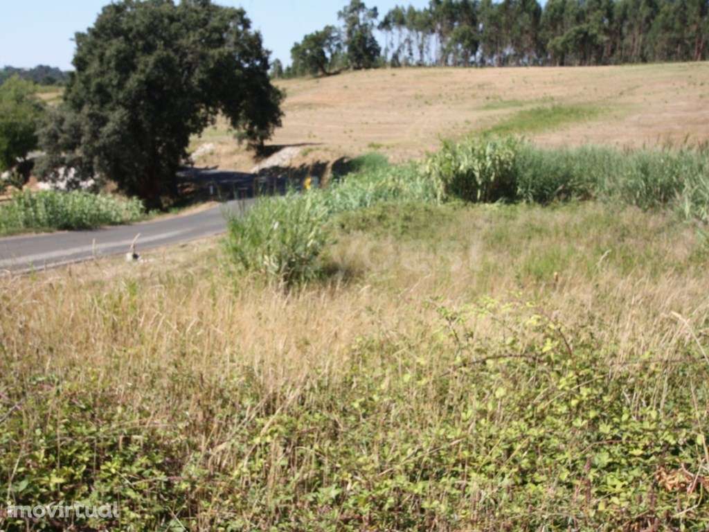 Terreno para construção em Casal do Rei - Rio Maior / Caldas da Rainha - Grande imagem: 5/16