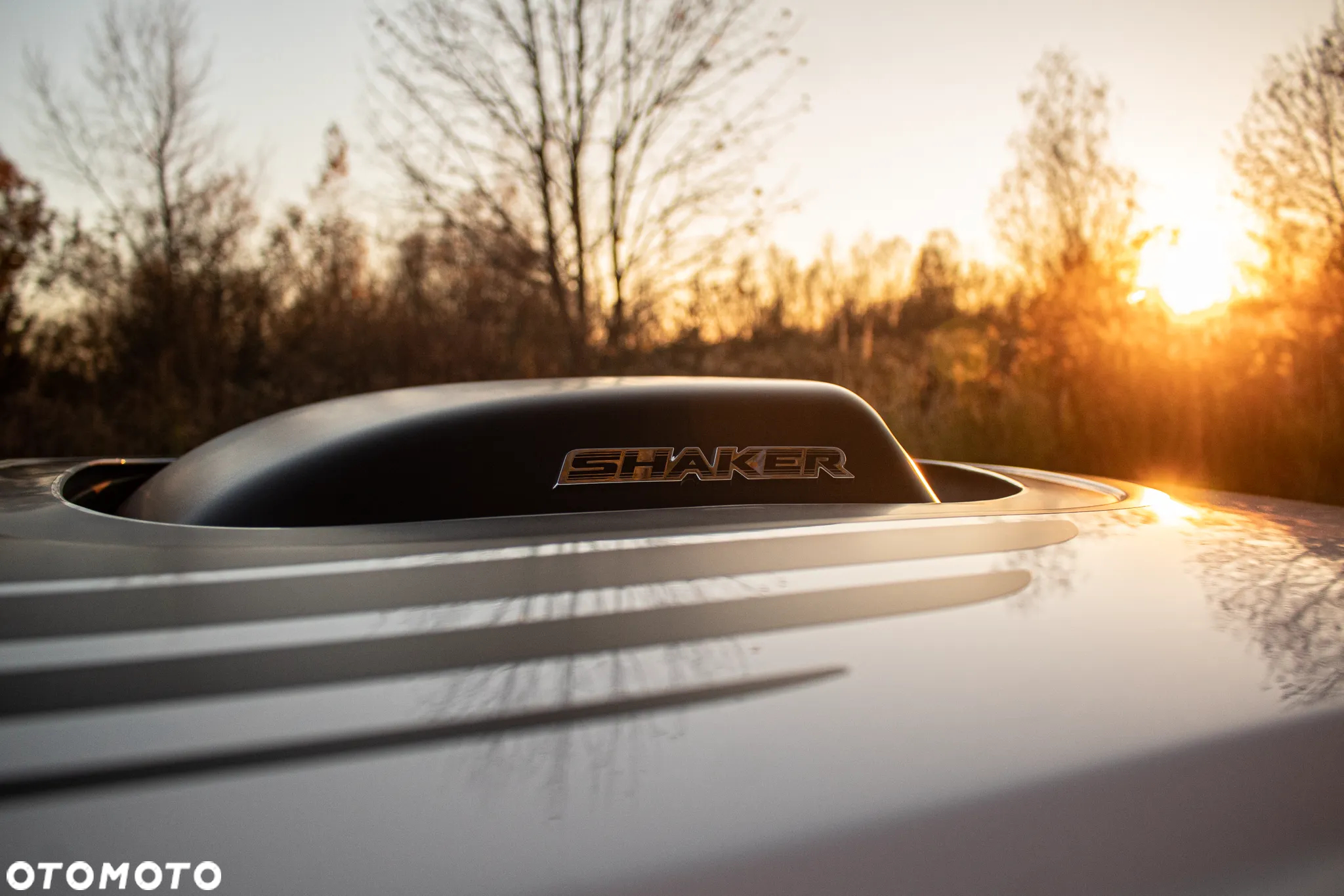 Dodge Challenger Automatik R/T Plus Shaker - 15