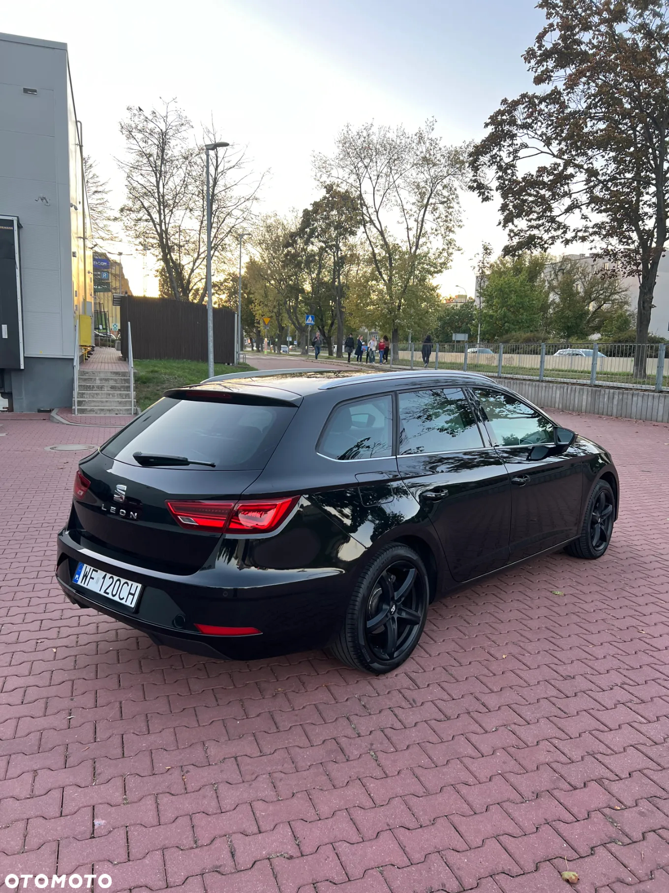 Seat Leon 1.5 EcoTSI Evo Xcellence S&S - 3