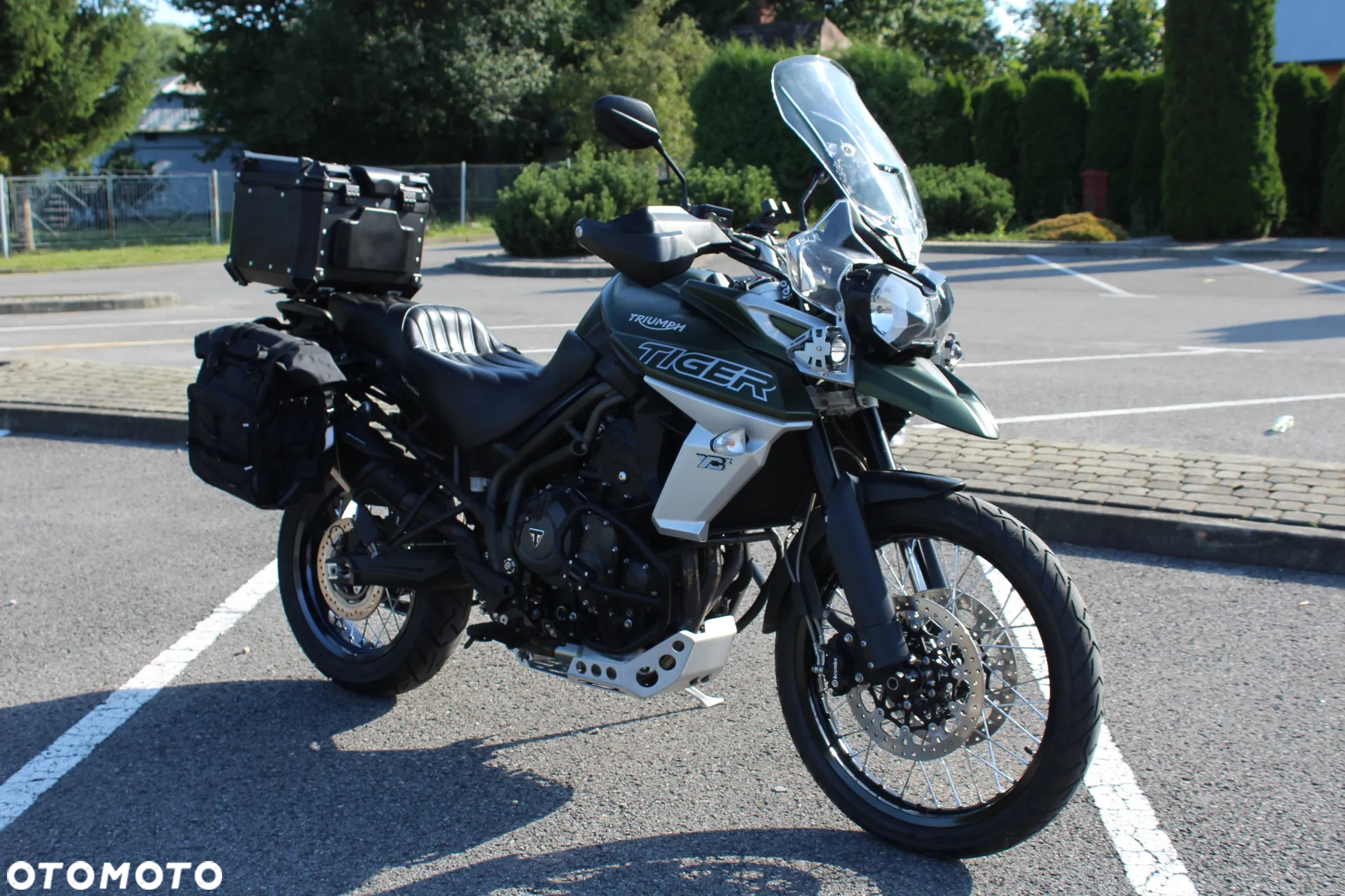 Triumph Tiger - 16