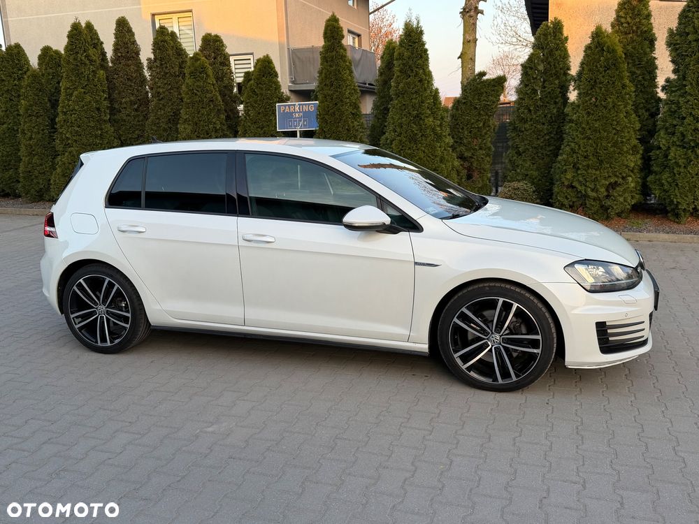 Volkswagen Golf - 13