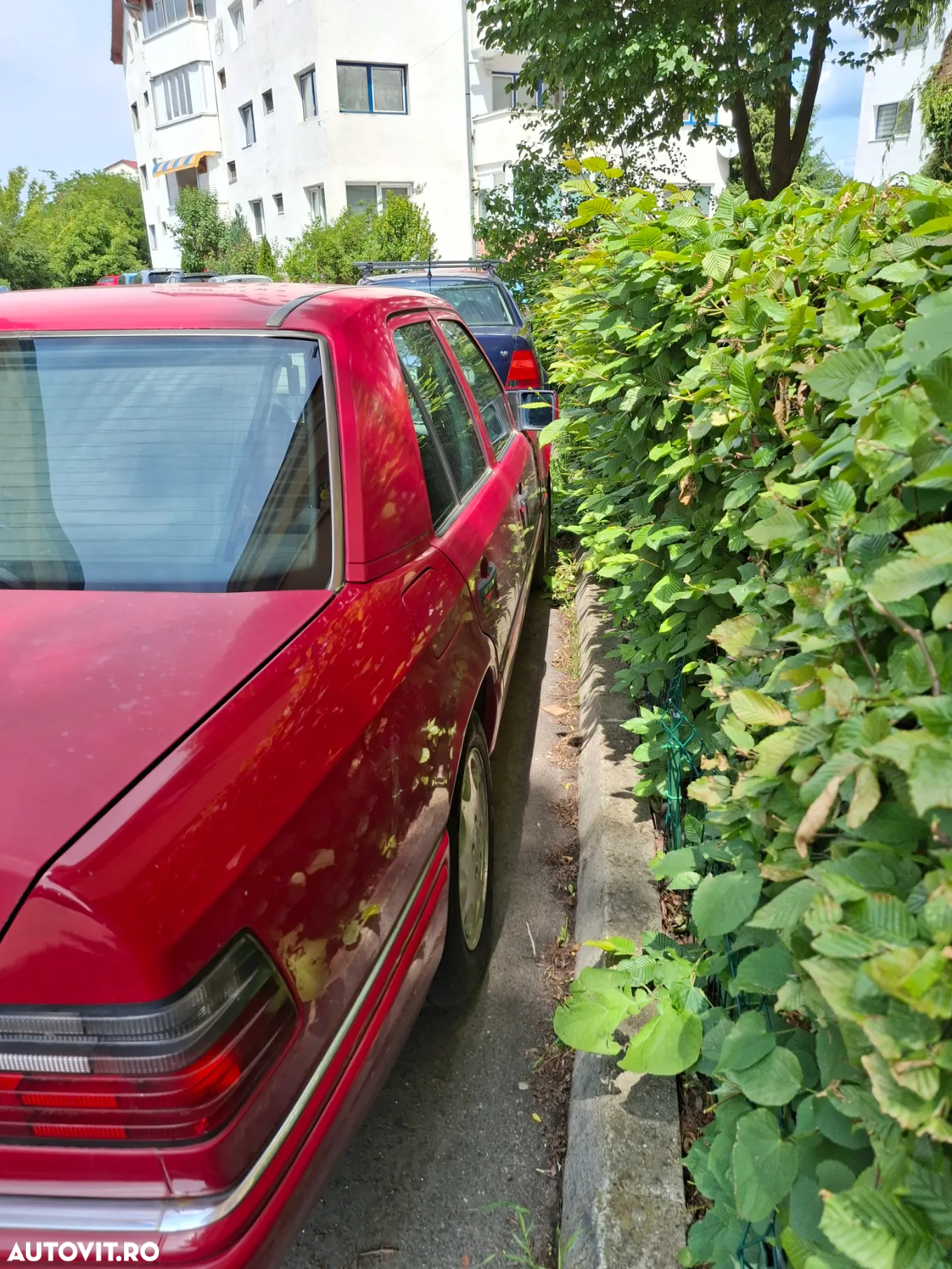 Mercedes-Benz W124 - 20