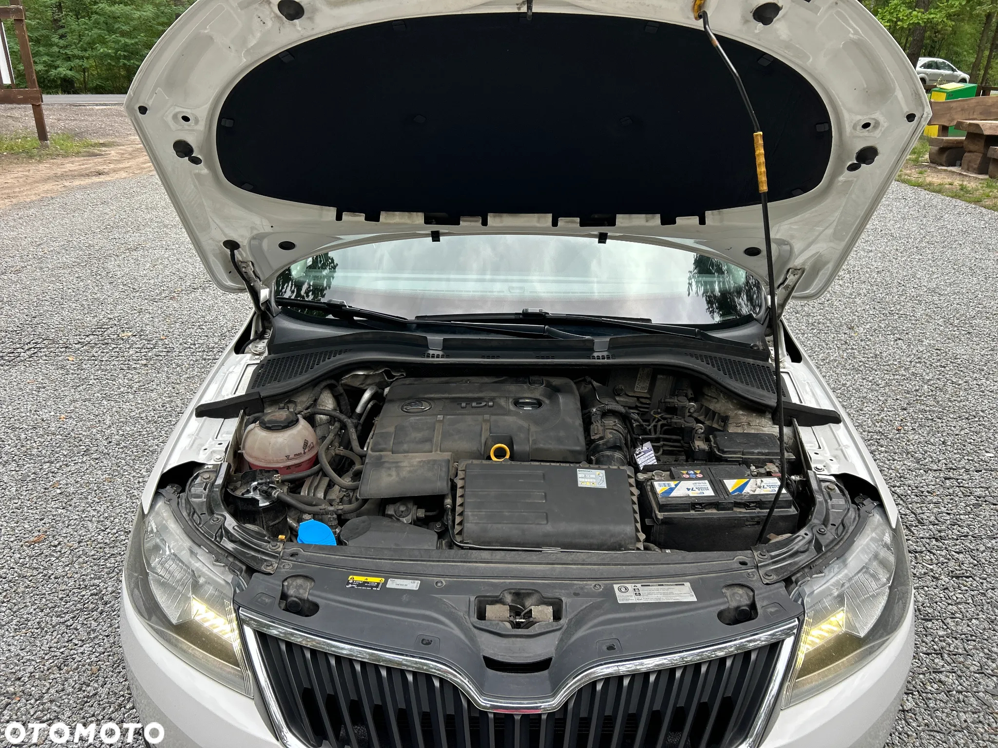 Skoda RAPID - 18