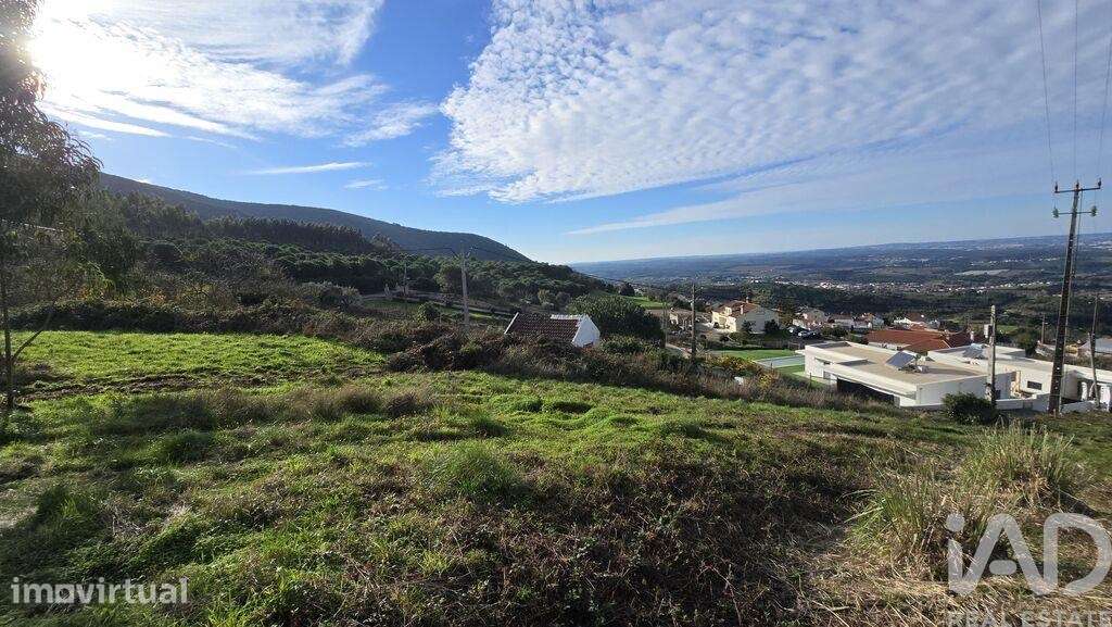 Terreno para construção em Lamas e Cercal - Grande imagem: 5/14