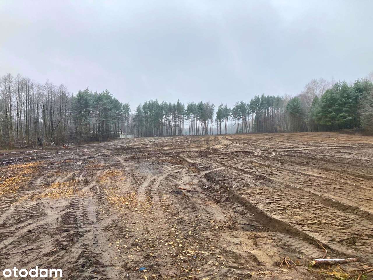 Top lokalizacja S17 4,7 ha pod centrum logistyczne - Pełny obrazek: 5/11