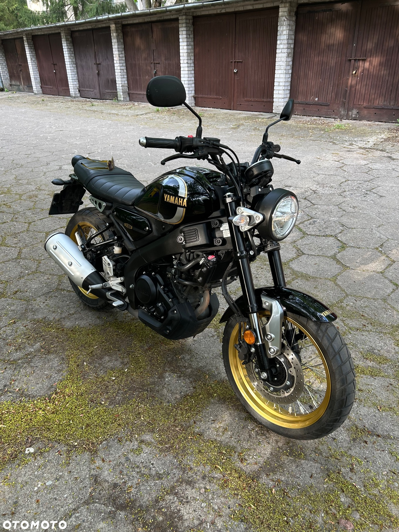 Yamaha XSR - 6