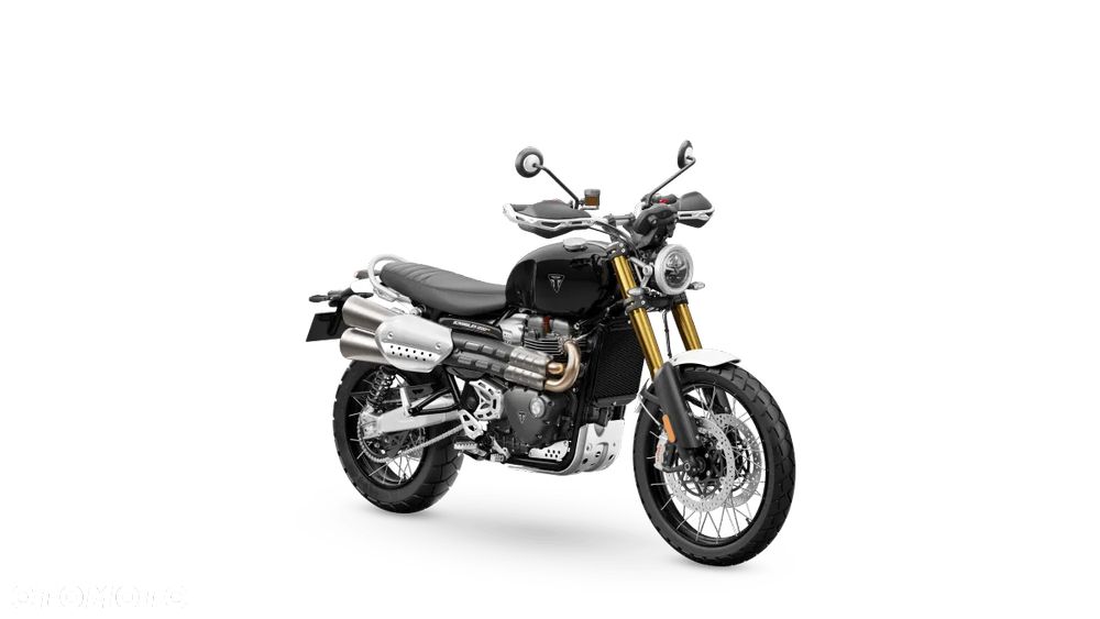 Triumph Scrambler - 18