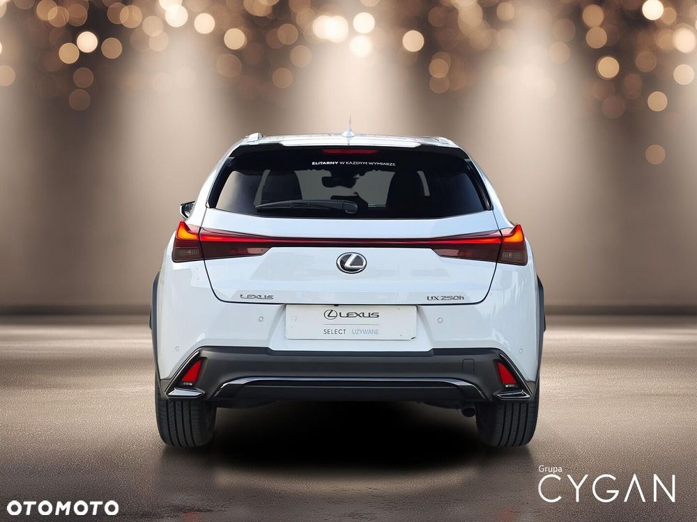 Lexus UX 250h GPF F Sport Design+ 2WD - 6