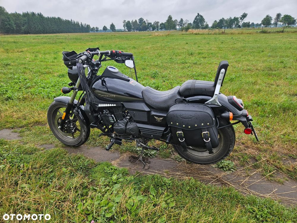 UM Renegade Freedom - 3