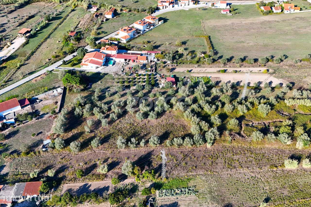 Terreno com 3.521 m² e Oliveiras em Santo Varão, Coimbra - Grande imagem: 5/15