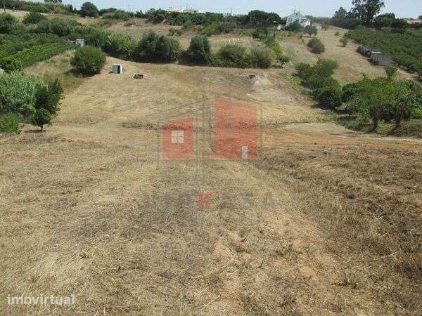 Terreno Rústico de 8062 m2 em Lombas – Gradil - Grande imagem: 3/11