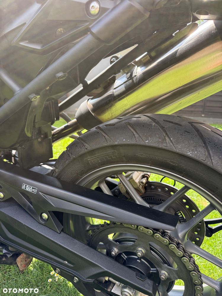 Triumph Tiger - 24