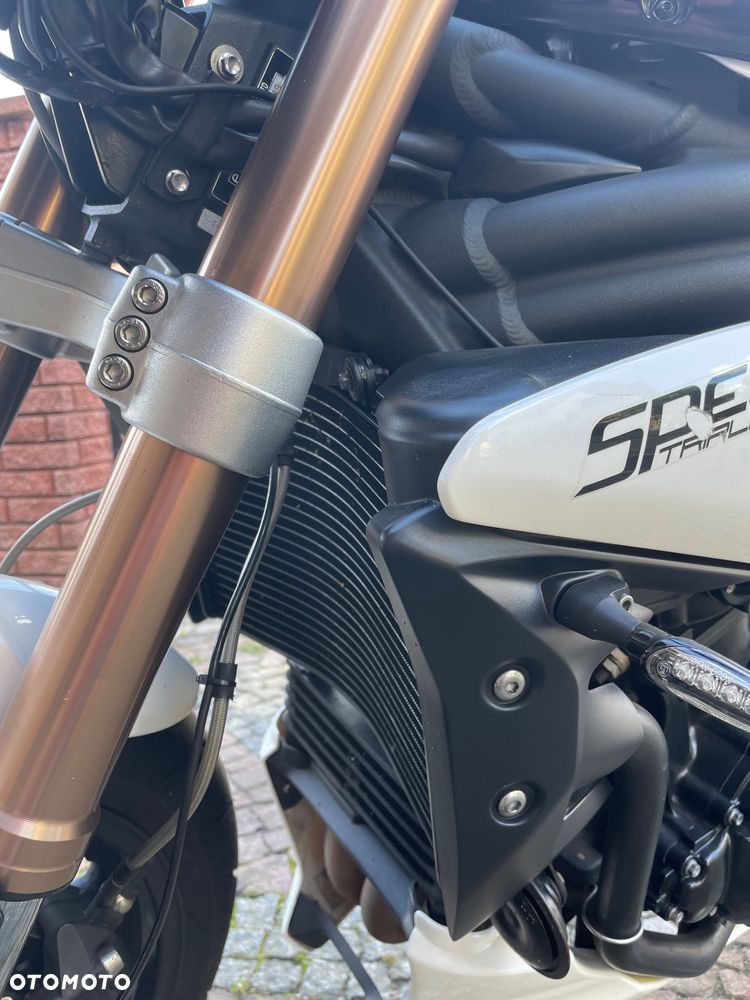 Triumph Speed Triple - 13
