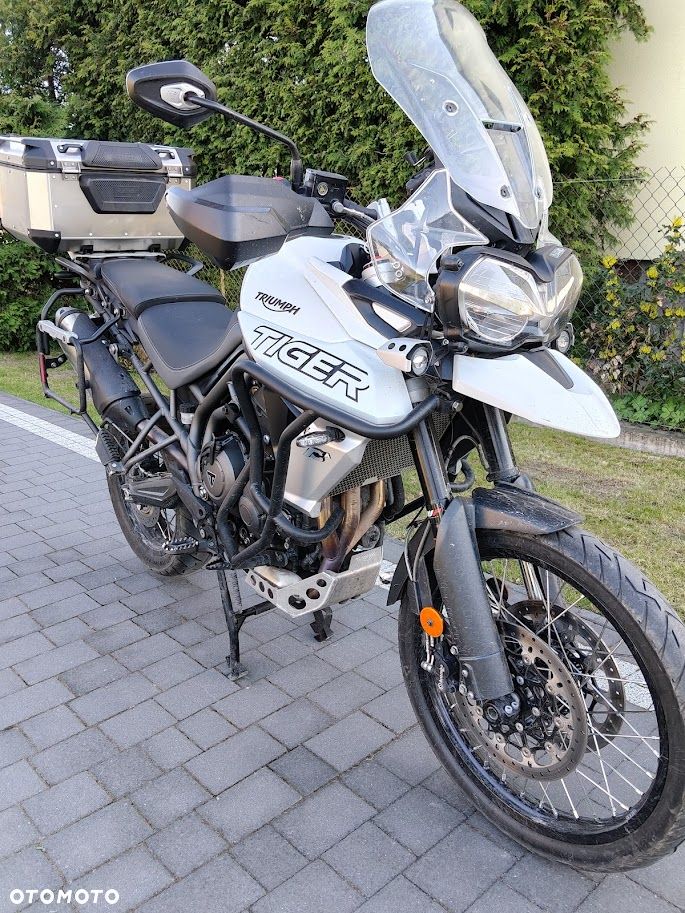 Triumph Tiger - 4