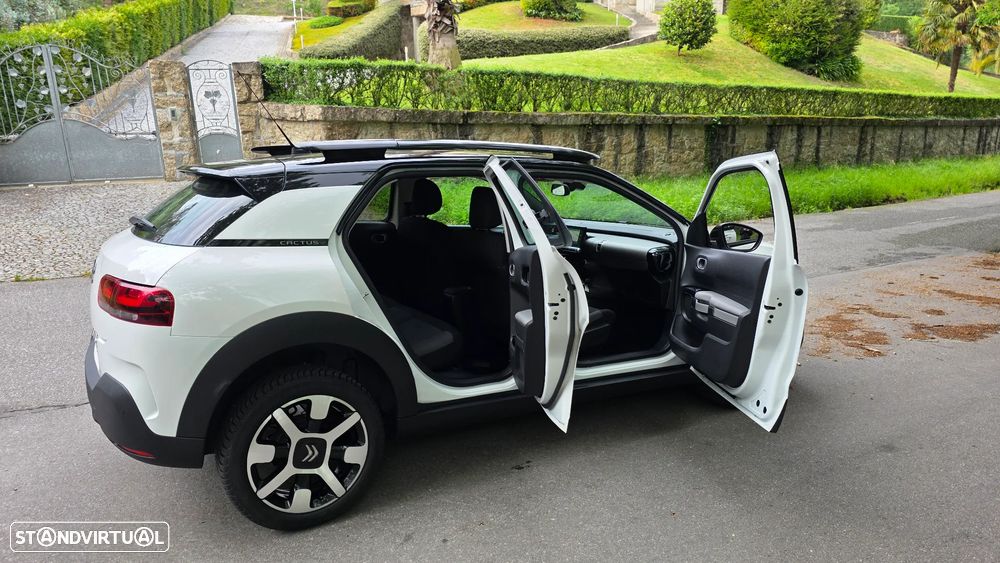 Citroën C4 Cactus BlueHDi 100 Stop&Start C-SERIES - 17