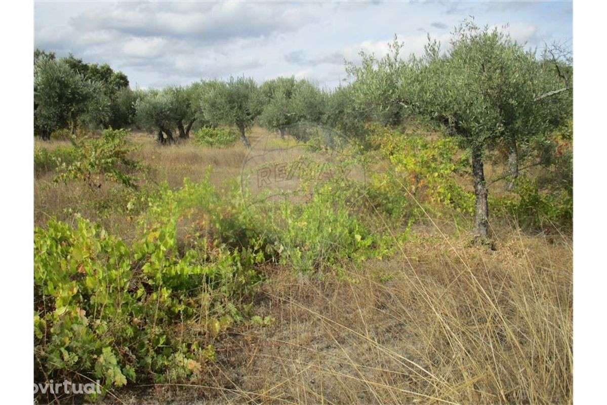 Quinta T0 para venda - Grande imagem: 3/31