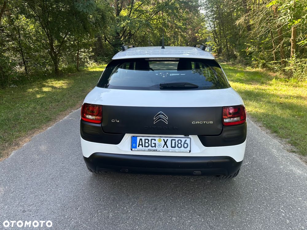 Citroën C4 Cactus PureTech 82 Shine Edition - 23