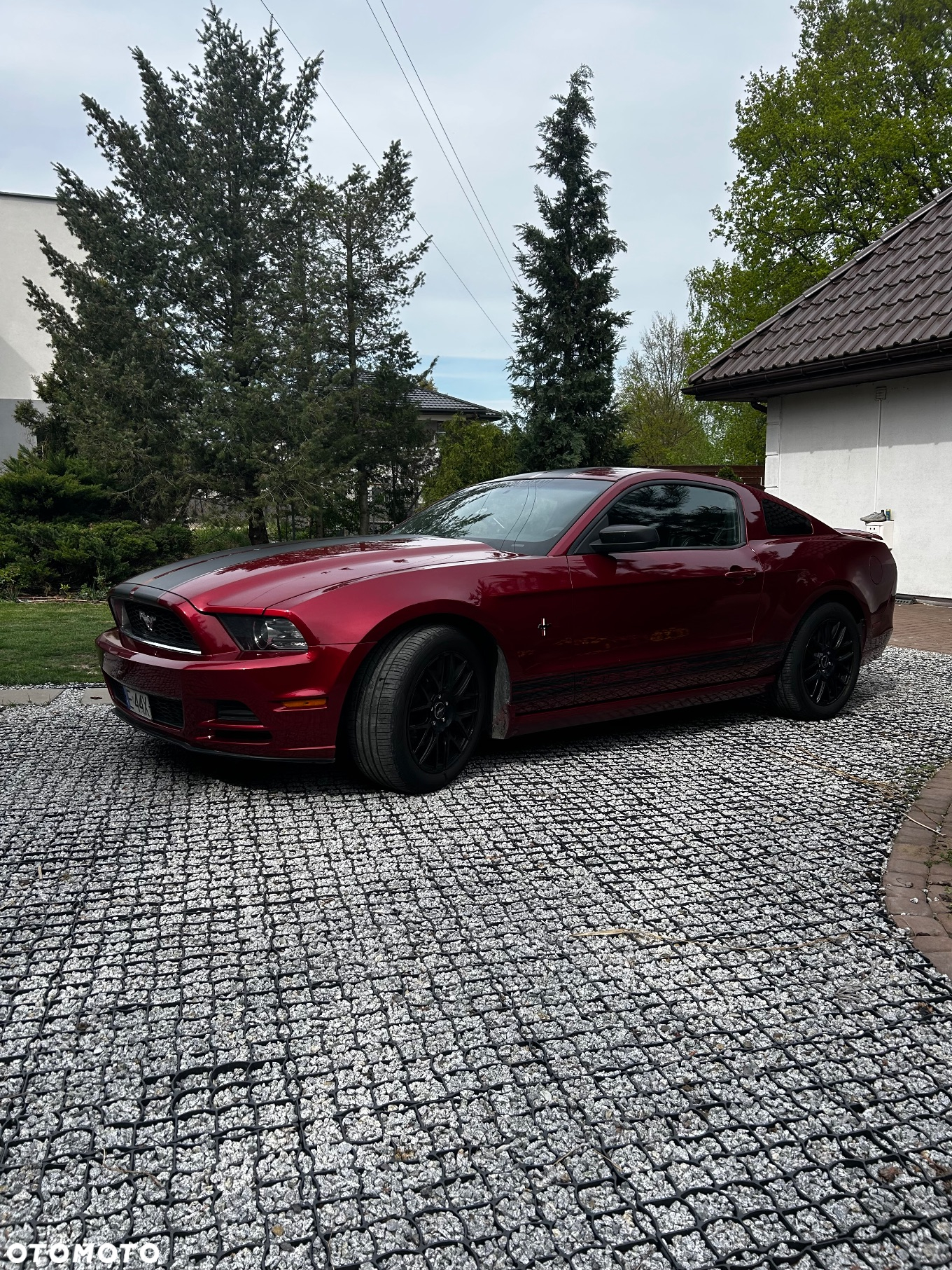 Ford Mustang - 6