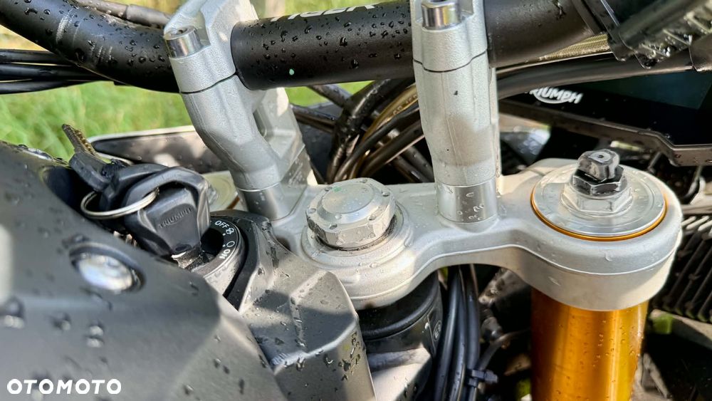 Triumph Tiger - 16