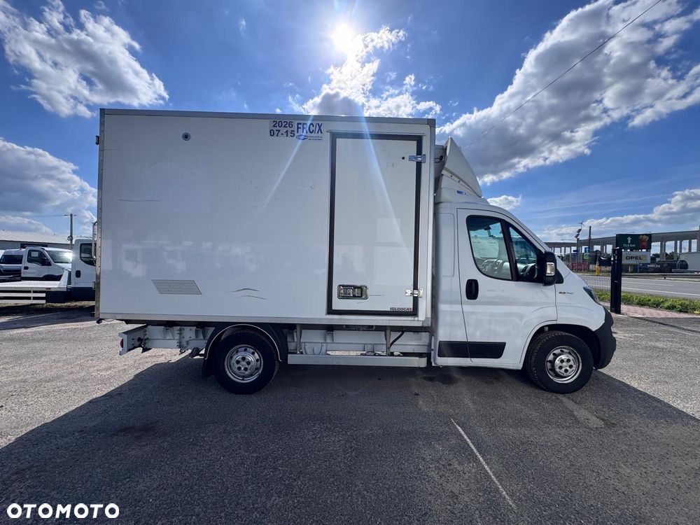 Fiat Ducato / Chłodnia ThermoKing V500 MAX (448) - 11