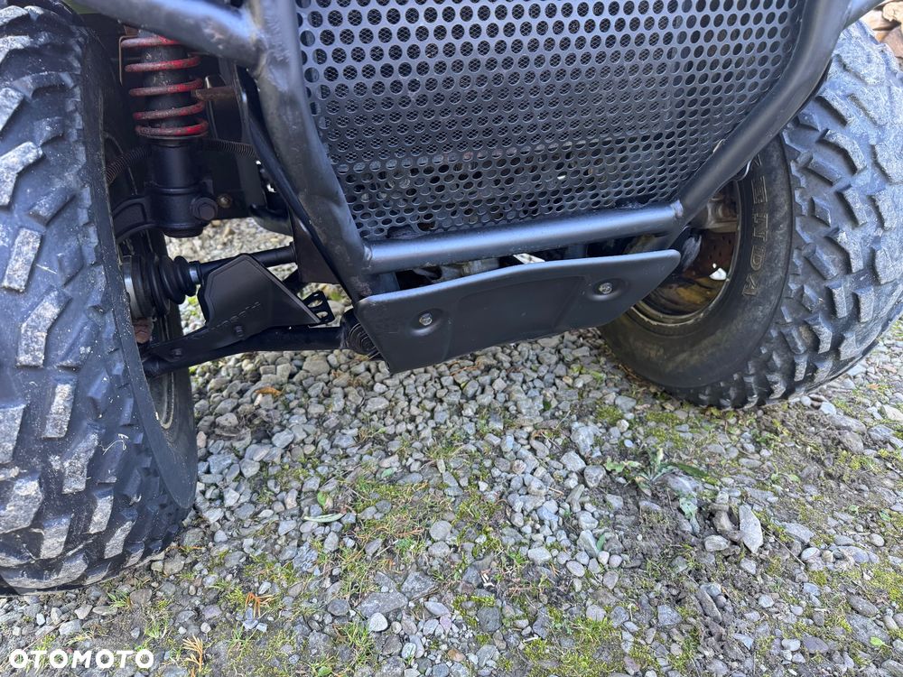 Kawasaki Brute Force - 15