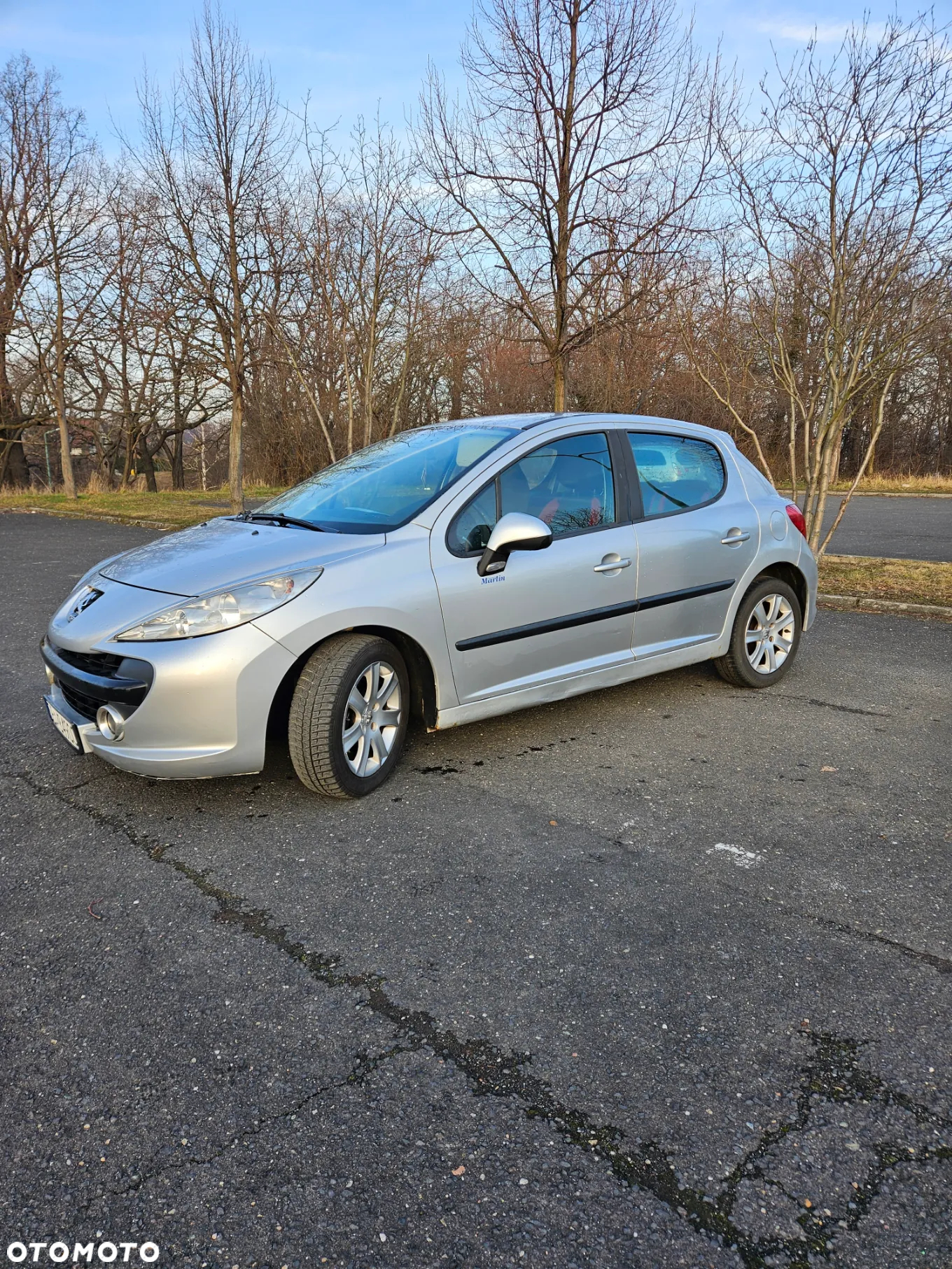 Peugeot 207 - 3