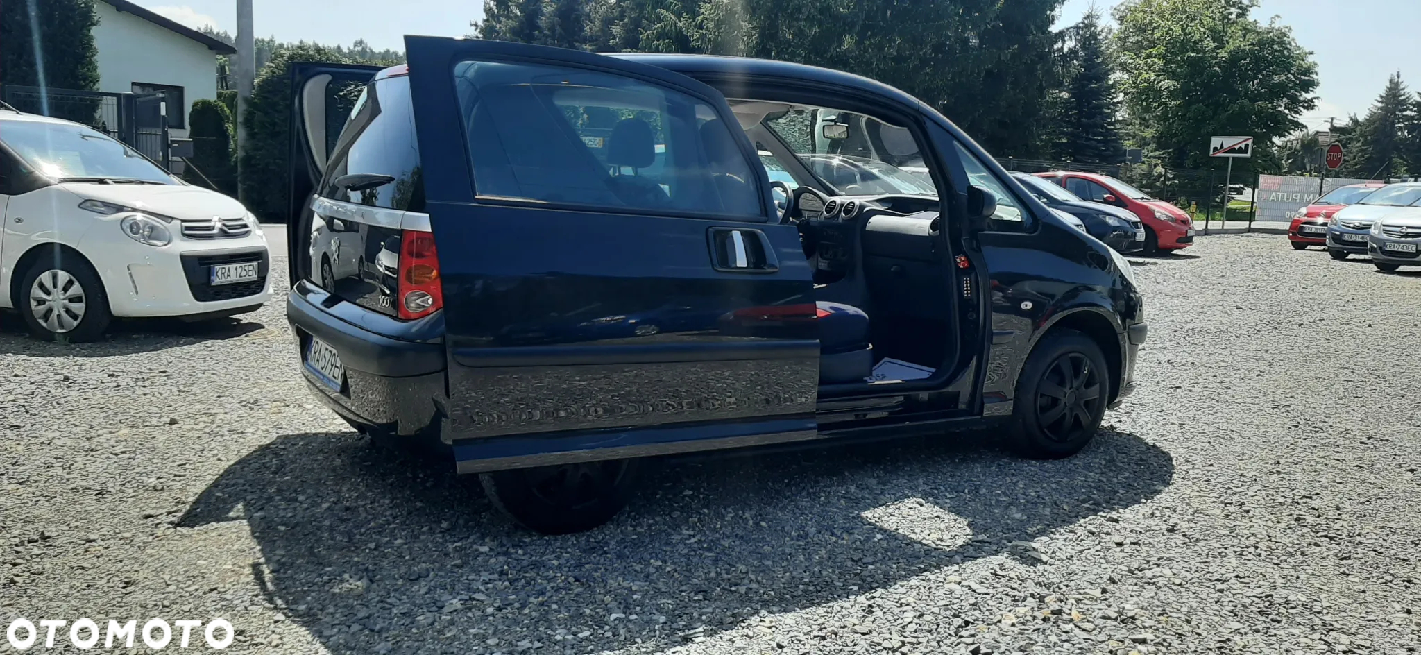 Peugeot 1007 - 9