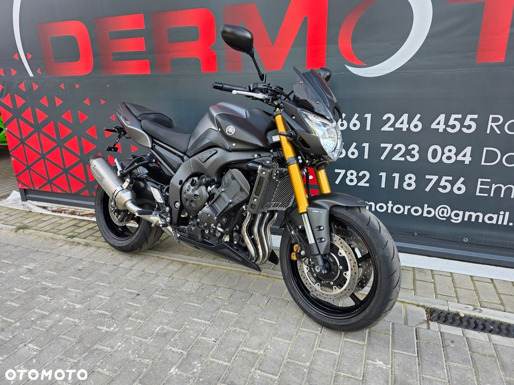 Yamaha FZ8 - 33